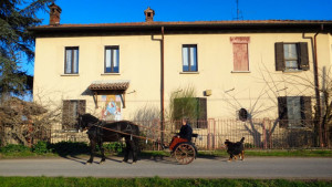 Cascina-Isola-Maria_agricoltura-biologica_agriturismo_BB_galleria01